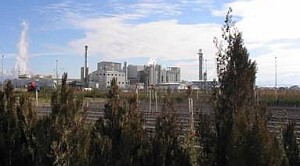 Cumra Seker Fabrikasi